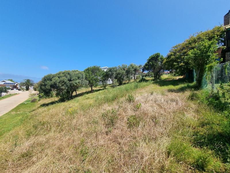 0 Bedroom Property for Sale in Groot Brakrivier Central Western Cape